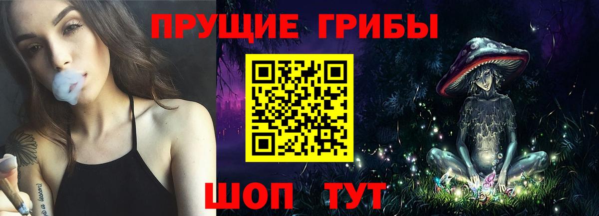 Галлюциногенные грибы GOLDEN TEACHER Железноводск